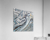 Blue Zebra Acrylic Print