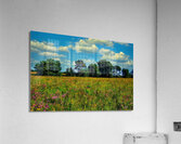 Wild Flower Field of Dreams Acrylic Print