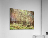Forest Wonderland in the Scottish Highlands Acrylic Print