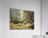 Scottish Highlands Woodland Wish   Acrylic Print