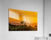 Tender Moment Golden Light Acrylic Print