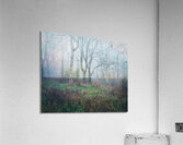 Cool Autumn Fog Trexler Nature Preserve Acrylic Print