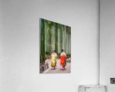 Geishas in bamboo forest Acrylic Print