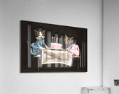 Vintage kittens birthday Acrylic Print