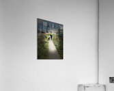 Scenes from the Trail -Just Walking  Acrylic Print