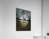 Scenes from the Trail- Scottish Countryside Acrylic Print