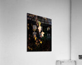 Portraits of Plants- Golden Leaves Acrylic Print