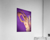 washington huskies basketball cover art Acrylic Print