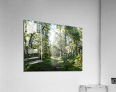 Nature Walk Through The Scottish Highlands  Acrylic Print