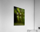 Northern Lights Blast Acrylic Print