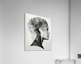 Ink and Light  2 Acrylic Print
