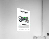 Kawasaki Ninja ZX 10R2 Acrylic Print