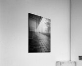 Mist and Solitude Acrylic Print