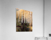 Autumn Brush Strokes Acrylic Print