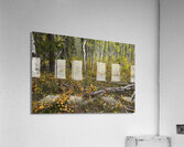 Genetic Acrylic Print