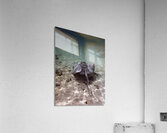 Limited Acrylic Print