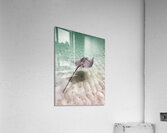 Incentive Acrylic Print