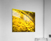 Pepites granulees Acrylic Print