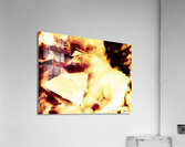 Ebloui  Acrylic Print