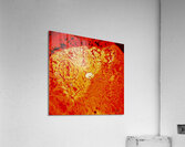 Cercles Acrylic Print