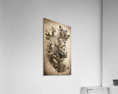 Metamorphic Dream  2 Acrylic Print