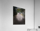 Scenes from the Trail- Autumn Dog Walk    Acrylic Print