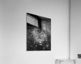 Scenes from the Trail - The Black and White Path  Acrylic Print