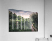 Lehigh Parkway   Back Paths Acrylic Print