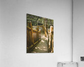 Bushkill Falls Stairs Acrylic Print