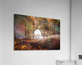 Hawk Falls in Autumn Creekside View Acrylic Print