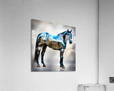 Galloping Canvas   4 Acrylic Print