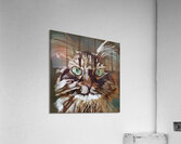 IMG 3285 Acrylic Print