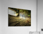 Wild Creek Cove Natural Surroundings Acrylic Print
