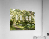 Scottish Highlands Summer Forest Scene Acrylic Print