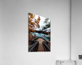 Fall Rhapsody Acrylic Print