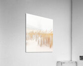 Beach Grass Acrylic Print