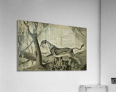 1921 Cat Art Acrylic Print