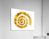 Autumnal leaves spiral Acrylic Print