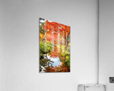 Autumn colors in Japan Acrylic Print