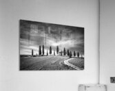 Iconic tuscan farm landscape - Black and white Acrylic Print