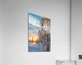 Snowy landscape at sunset in Lapland Acrylic Print