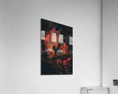 North American  Pelican Nebulae Wide Field Acrylic Print