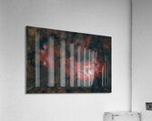 Lagoon Nebula Acrylic Print