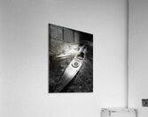 Everyday Lifes Moments- High and Dry in Black and White Acrylic Print