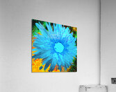 Abstract Geometric Daisy Flower Acrylic Print