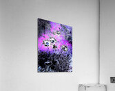 Abstract Vivid Daisy Flowers Acrylic Print