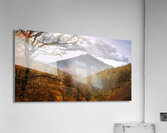 Golden Colors of Autumn Acrylic Print