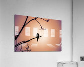 Bird Silhouette Sunset Acrylic Print
