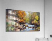 The Path and the Stream 8 Acrylic Print