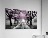 Fading into the Mist   9 Acrylic Print